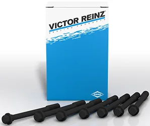 Tornillos para Culata Victor Reinz
